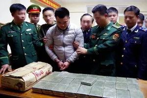 Sáu tháng, tuyên phạt tử hình, chung thân 285 tội phạm ma túy