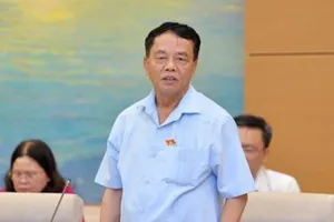 Cần kêu gọi, thu hút các 'đại gia' lên miền núi