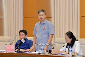 Đại biểu Nguyễn Sỹ Cương: 'Người dân vẫn thắc mắc về giá điện'