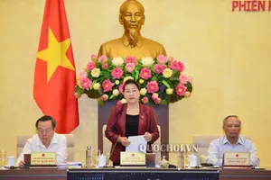 Đưa hộ kinh doanh vào luật, chưa 'chín' thì phải cân nhắc kỹ