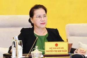  Chủ tịch Quốc hội: Sao cứ vướng lại đổ thừa do luật