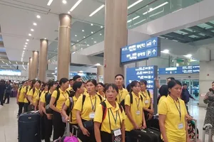  Nhiều lao động Việt sang Hàn không biết làm nghề