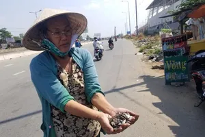 Yêu cầu xử nghiêm 'đinh tặc' lộng hành trên quốc lộ 1