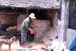 Gói hỗ trợ 62.000 tỉ: Có sai phạm ở Thanh Hóa, Ninh Thuận