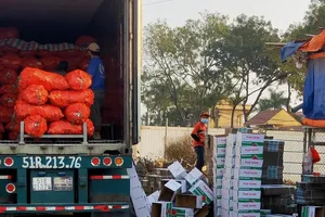 Cả chục ngàn tấn hàng 'ùn tắc' vì quy định khắt khe