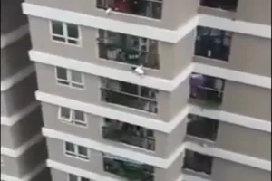 Bộ LĐ-TB&XH tặng bằng khen cho anh Nguyễn Ngọc Mạnh