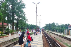 Gói bảo trì đường sắt: Bộ GTVT cho rằng VNR 'không hợp tác'