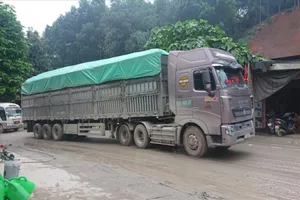 Xe chở quá tải hoạt động trên địa bàn tỉnh Yên Bái. Ảnh: Báo Lao Động