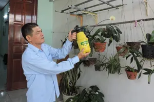 20 năm tham gia bảo hiểm, 44 năm hưởng lương hưu