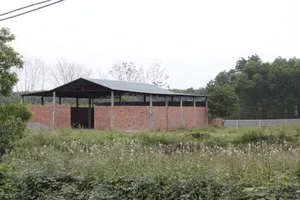 Xuất hiện nhiều công trình trái phép chờ đền bù dự án cao tốc Bắc - Nam