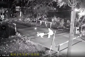 Bộ trưởng GTVT gửi thư khen nhân viên gác chắn dũng cảm cứu người