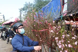 Bộ LĐ-TB&XH thông báo phương án nghỉ Tết Âm lịch cho người lao động