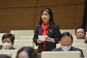 Đại biểu tranh luận về 'thà đứng trước hội đồng kỷ luật còn hơn đứng trước hội đồng xét xử'