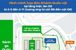 Thêm hãng xe hoạt động ở sân bay Tân Sơn Nhất với cam kết nhanh, giá hợp lý