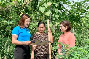 BHXH tự nguyện, điểm tựa cho lao động tự do