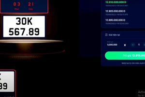 Biển số 30K-567.89 được chốt với giá hơn 13 tỉ đồng