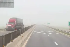 Lái xe đi lùi, ngược chiều trên cao tốc sẽ bị trừ hết điểm bằng lái