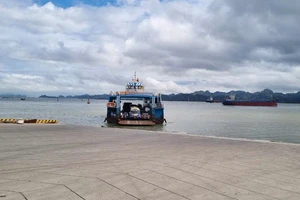 Quy định 12 nhóm đối tượng không phải trả tiền khi đi phà