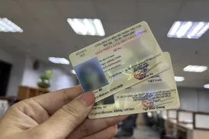 Để bằng lái xe quá thời hạn sử dụng 1 ngày phải thi lại lý thuyết