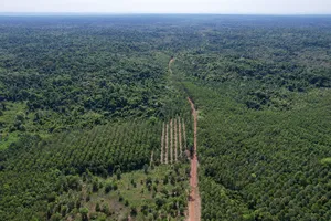 Đánh giá kỹ tác động đến hệ sinh thái khi làm đường nối Bình Phước với Đồng Nai