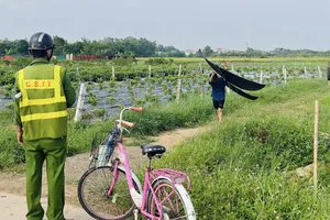 Diều lại xuất hiện gần đường băng sân bay Nội Bài, công an vào cuộc 