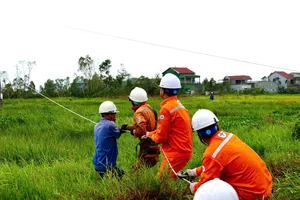 Điện lực miền Bắc đẩy mạnh chuyển đổi số, minh bạch với khách hàng