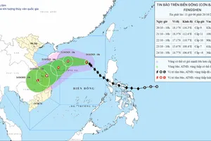 Bão số 12 giật cấp 13, Bộ Xây dựng yêu cầu lên kịch bản đảm bảo an toàn