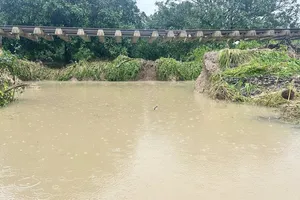 Nước rút dần, đường sắt bắt đầu chuyển tải hành khách trở lại ở một số tuyến