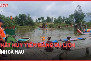 Cà Mau: Phát huy tiềm năng du lịch sinh thái, du lịch cộng đồng.