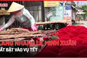 Video: Làng nhang Lê Minh Xuân tất bật vào vụ Tết