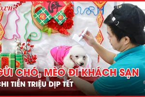 Chi tiền triệu gửi chó, mèo đi nghỉ ở khách sạn dịp Tết Nguyên đán