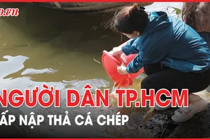 Người dân TP.HCM tấp nập thả cá chép tiễn ông Táo về trời