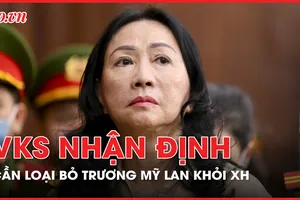 VKS nhận định 'cần loại bỏ Trương Mỹ Lan ra khỏi xã hội'