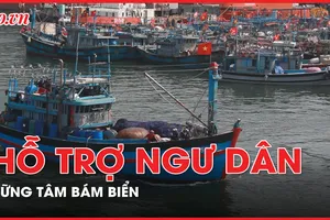 Đà Nẵng hỗ trợ ngư dân vững tâm bám biển