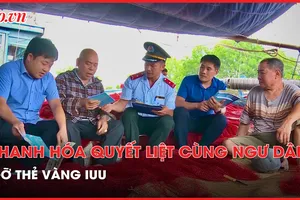 Tỉnh Thanh Hóa đồng hành cùng ngư dân gỡ thẻ vàng IUU