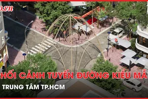 Video: Phối cảnh tuyến đường kiểu mẫu ở Trung tâm TP.HCM