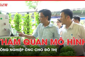 Tham quan mô hình nuôi mực lá, nuôi cá kết hợp trồng rau cho đô thị tại TP.HCM 