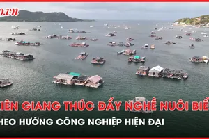 Kiên Giang: Thúc đẩy nghề nuôi biển phát triển nhanh theo hướng công nghiệp, hiện đại
