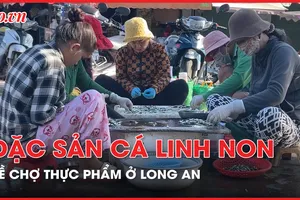 Cá linh non - đặc sản mùa nước nổi bắt đầu về chợ ở Long An 