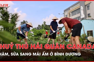 Thủy thủ tàu Hải quân Canada trồng rau, làm hàng rào… cho mái ấm ở Bình Dương