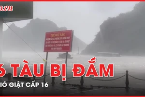 Quảng Ninh: Gió giật cấp 16, 6 tàu bị đắm
