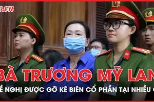 Bà Trương Mỹ Lan đề nghị được gỡ kê biên cổ phần tại nhiều công ty 