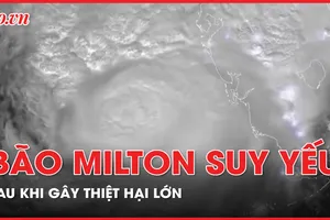 Cập nhật trực tiếp: Siêu bão Milton suy yếu xuống cấp 1, đã có thương vong