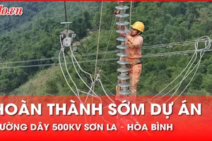 Hoàn thành sớm dự án thay thế cách điện đường dây 500kV Sơn La – Hòa Bình