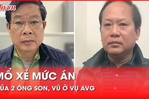 Mổ xẻ mức án của 2 ông Son, Vũ ở vụ án MobiFone - AVG