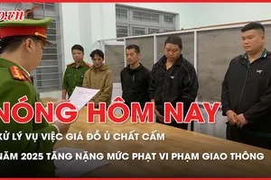 Nóng hôm nay 31-12: Vụ việc giá đỗ ủ chất cấm bị xử lý ra sao?; Năm 2025 tăng mức phạt vi phạm giao thông