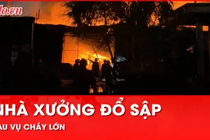 Video: Cháy lớn tại một xưởng vải ở Bình Dương