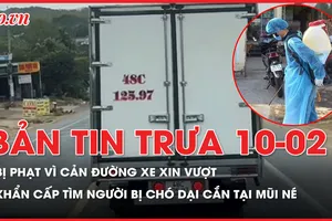 Bản tin trưa 10–02: Bị phạt vì cản đường xe xin vượt; Tìm người bị chó dại cắn tại Mũi Né