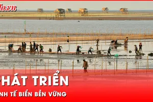 Video: Nam Định đẩy mạnh phát triển kinh tế biển bền vững