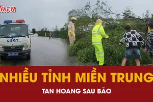 Nhiều tỉnh miền Trung tan hoang sau bão 